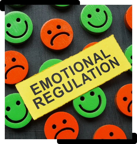 Emotional Regulation for Crisis Professionals