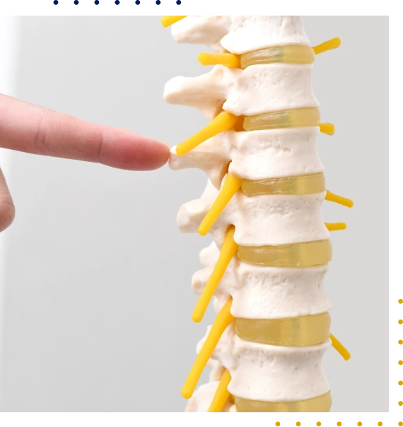 Chiropractic Treatment Services Appleton
