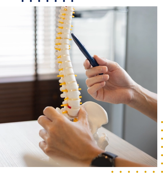 Chiropractic Treatment Services Harrison