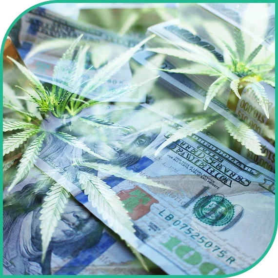 Cannabis Business Funding
