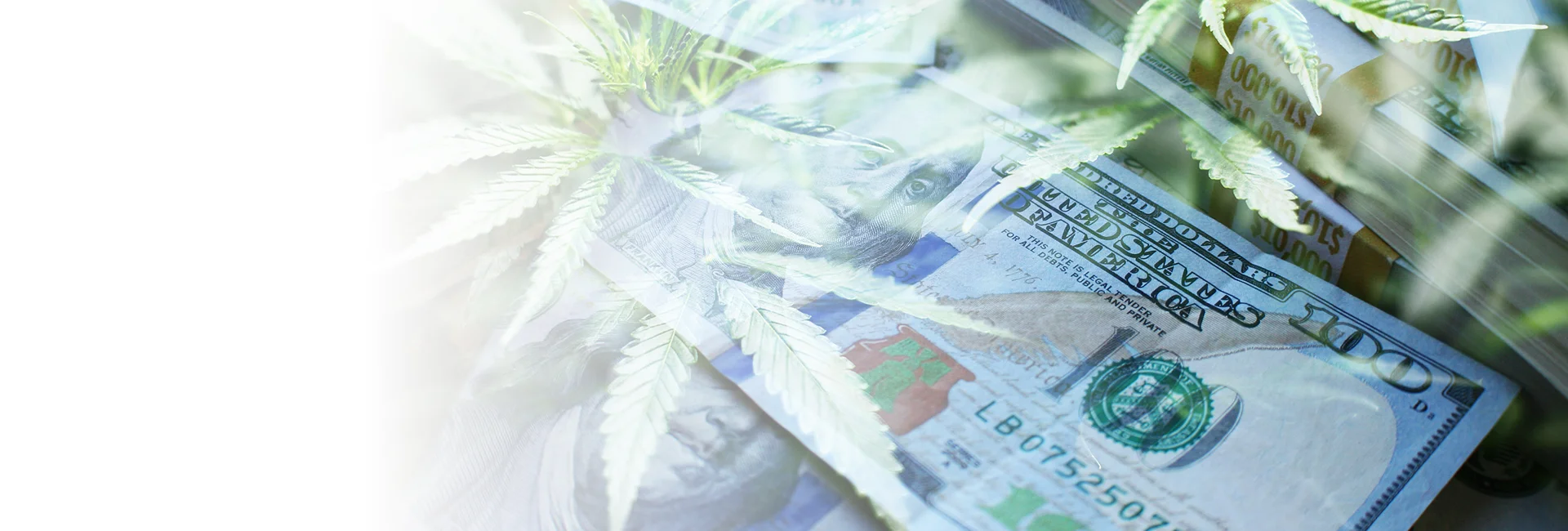 Cannabis Business Funding