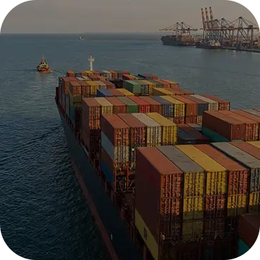 Sea Freight 
(Ocean Freight)