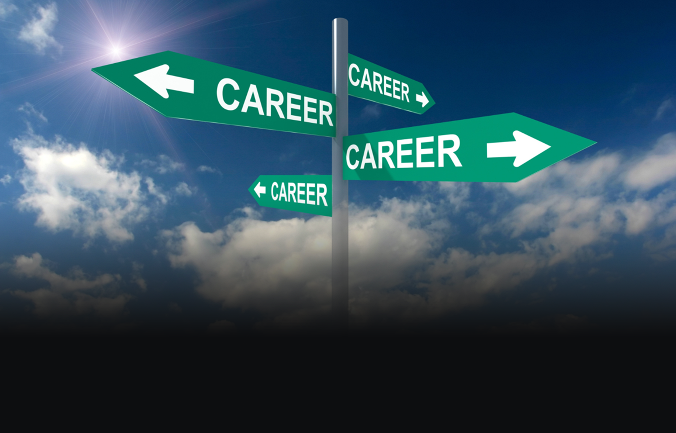 Logistics Professionals Mississauga