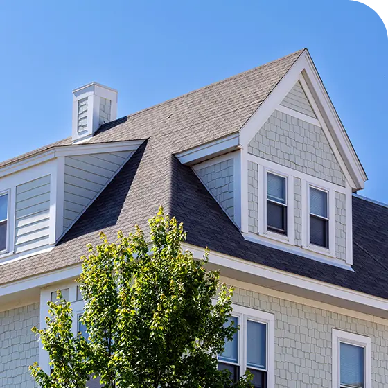 1. Residential Homes & Apartments