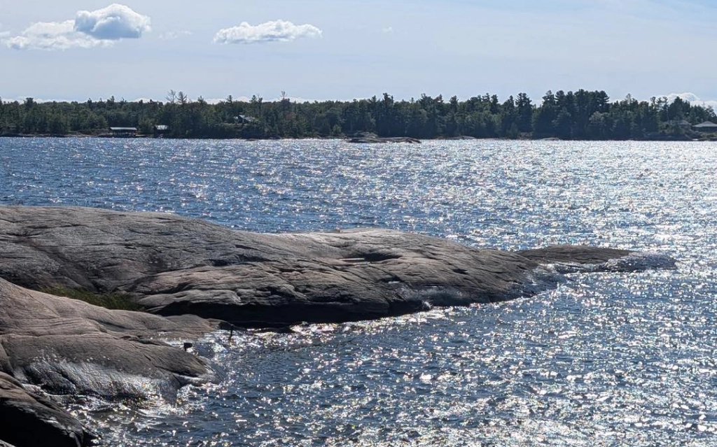 Guests relaxing during sightseeing cruises while enjoying the scenic shoreline and calm waters of Georgian Bay.