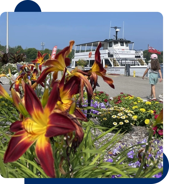 Visitors standing along the railing while admiring island views.