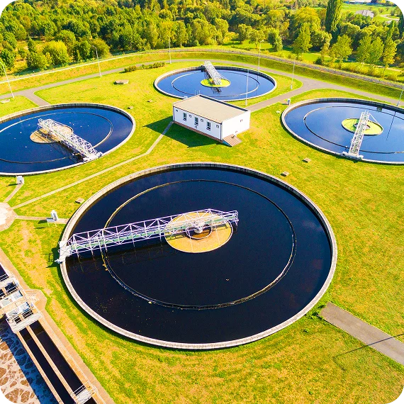 Wastewater Treatment Plant Vegetation Services