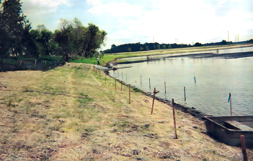 Crew performing full circle supply and installation services at a wetland site