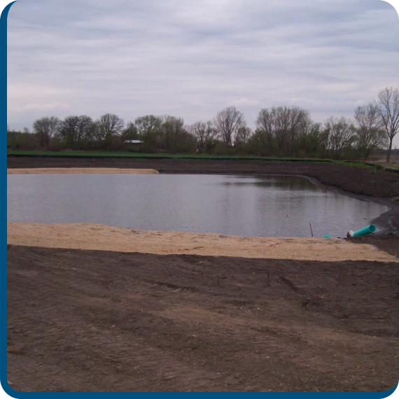 Native grasses and plants growing as part of erosion control solutions.
