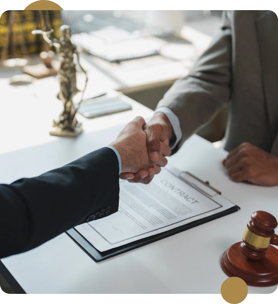 Litigation and Trial-Ready Representation