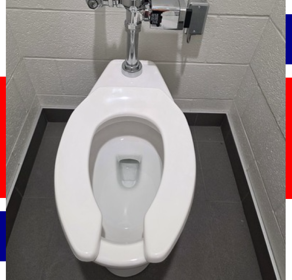 Professional Toilet Installation