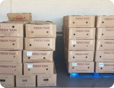 Bulk and Specialty Orders