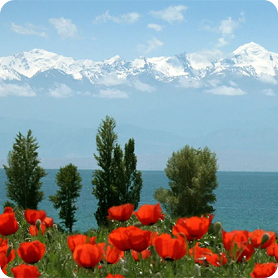 Guide presenting travel itineraries to travelers in Kyrgyzstan