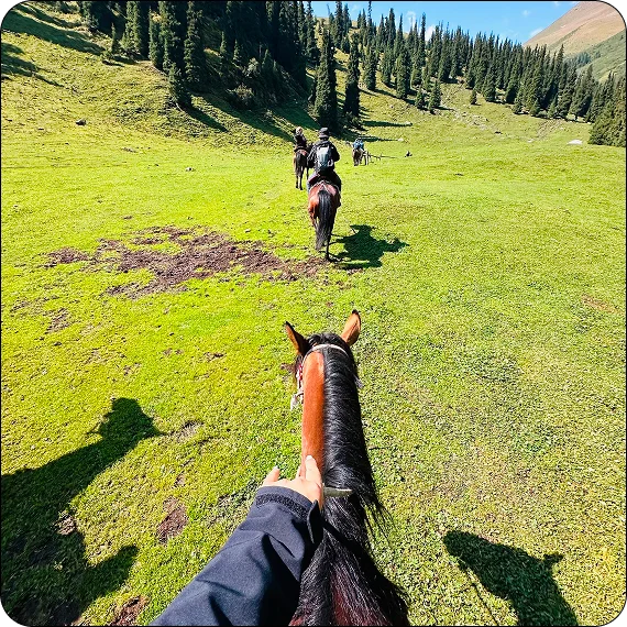 Couple reviewing Kyrgyzstan tour packages with a local guide in Kyrgyzstan