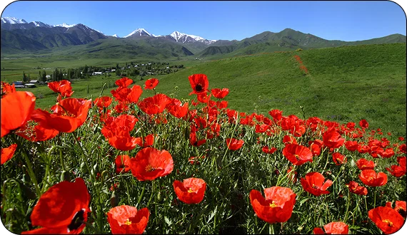 Adventurers exploring mountain paths on Kyrgyzstan hiking tours
