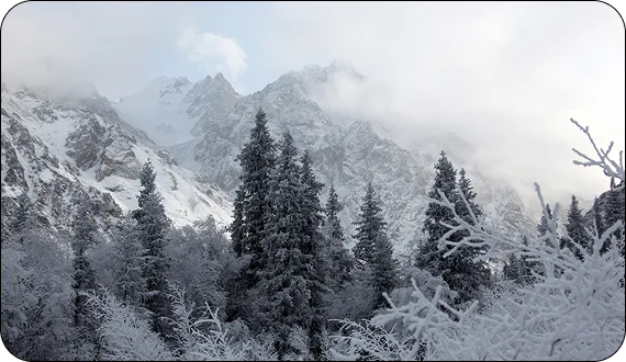 Skiers carving fresh powder during ski tours in Kyrgyzstan