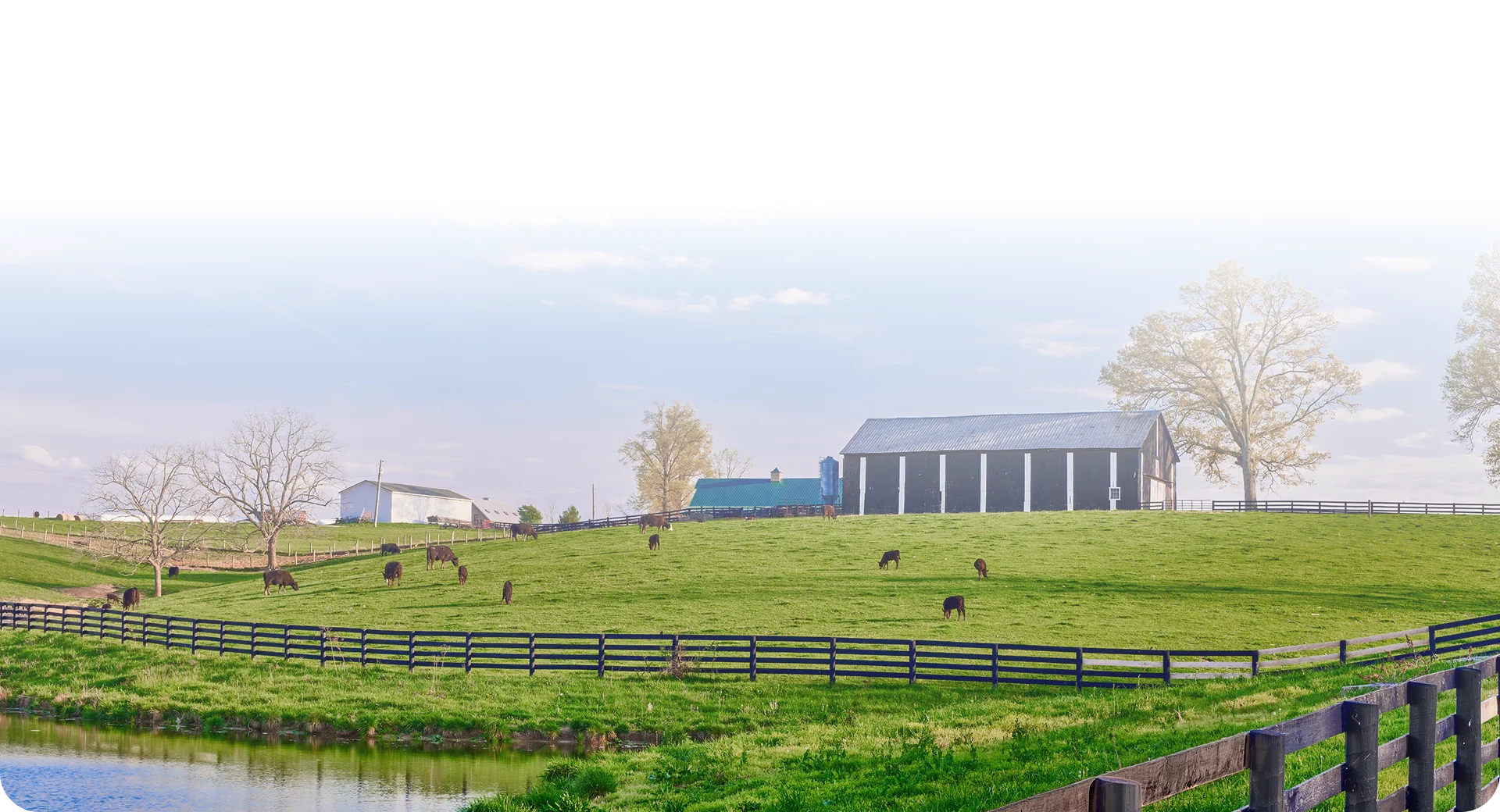 Importer reviewing livestock water solutions in Newmarket