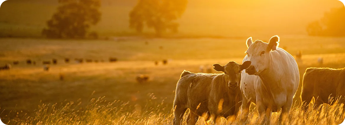 Crates of water treatment equipment at a warehouse in Newmarket