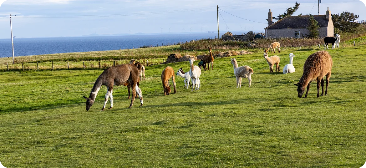 Staff inspecting imported water systems in Newmarket