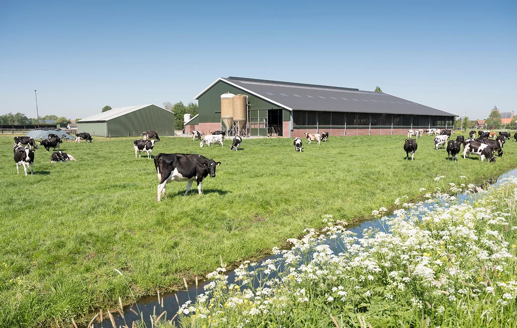Water treatment services being applied on a farm in Newmarket