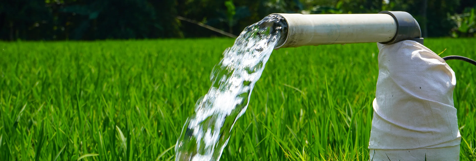 Technicians testing farm water system in Newmarket