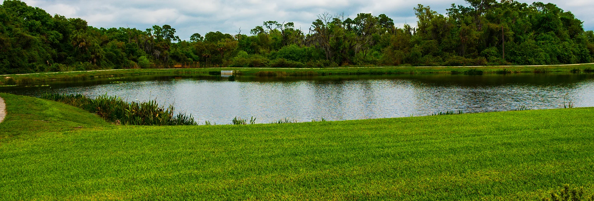 Pond remediation systems restoring water quality in Newmarket