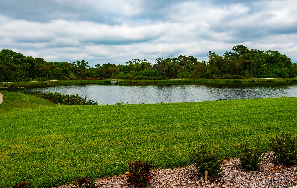 Pond remediation systems restoring water quality in Newmarket