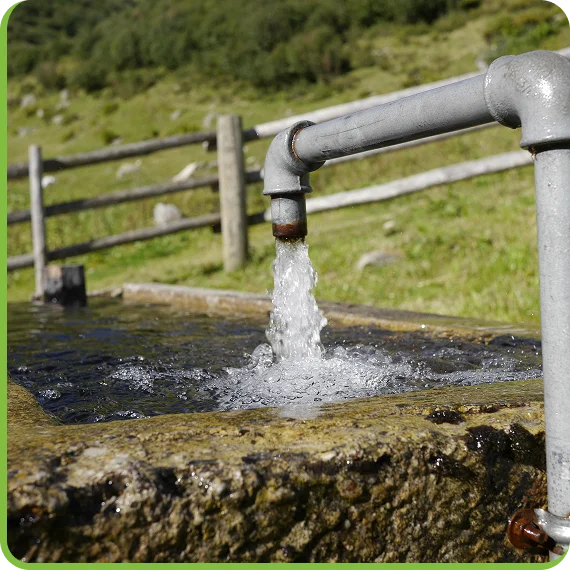 Livestock water treatment systems installed in a Newmarket barn