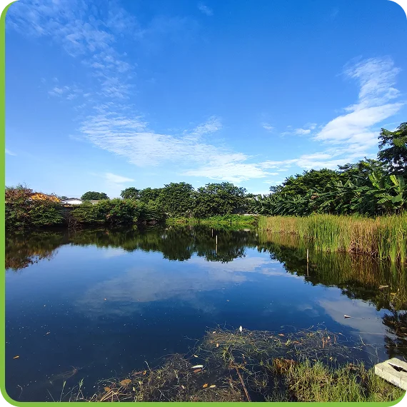 Staff monitoring pond remediation systems in Newmarket