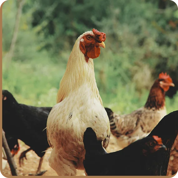 Staff maintaining water remediation systems solutions in Eastern Ontario