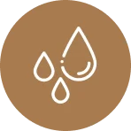 Staff inspecting imported water systems in Newmarket