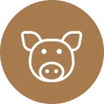 Technicians unloading water treatment equipment in Newmarket