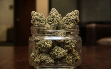 Customer receiving product recommendations during cannabis services in Kansas City