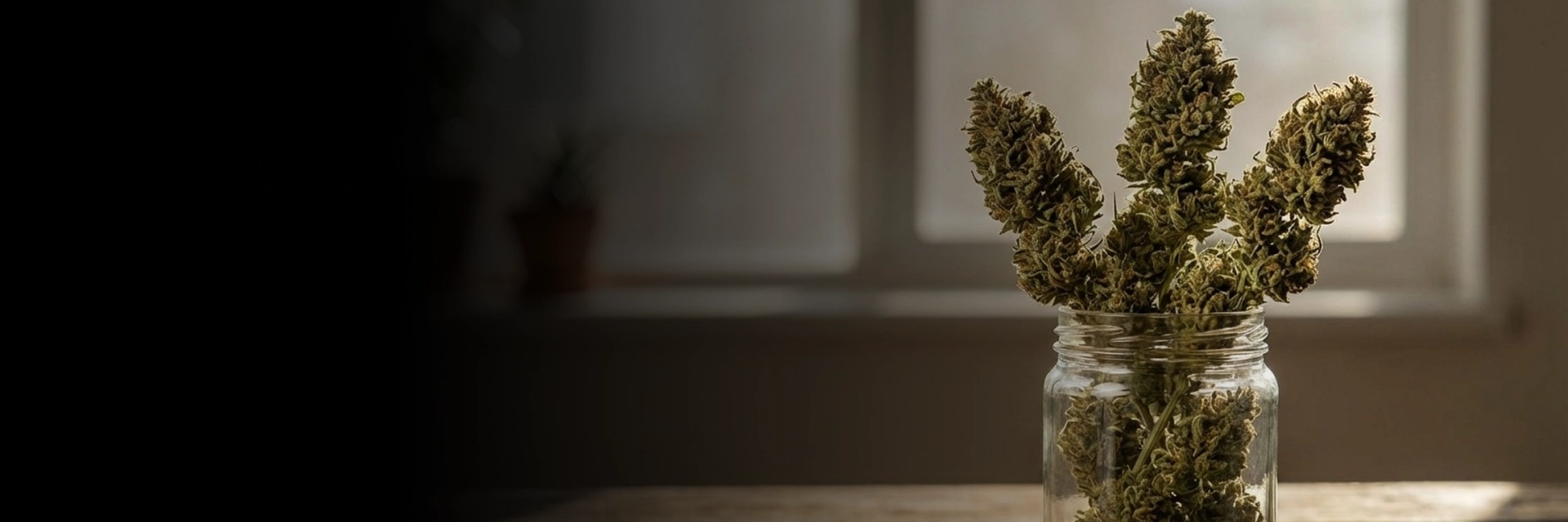 Team member assisting at a weed dispensary in Kansas City