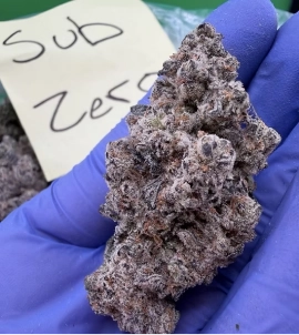 Interior view of one of the busiest recreational marijuana dispensaries in Kansas City