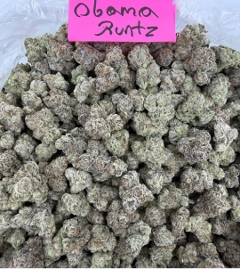 Customer selecting premium weed in Kansas City from a display shelf