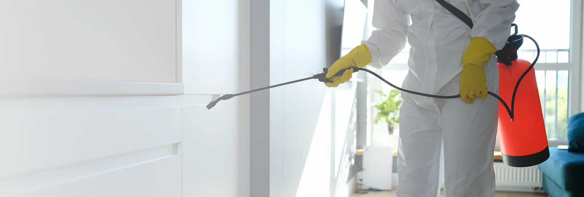 Pest Management Solutions Eagle County