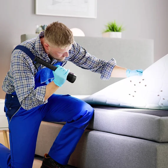 Bed Bug Eradication Services Eagle County