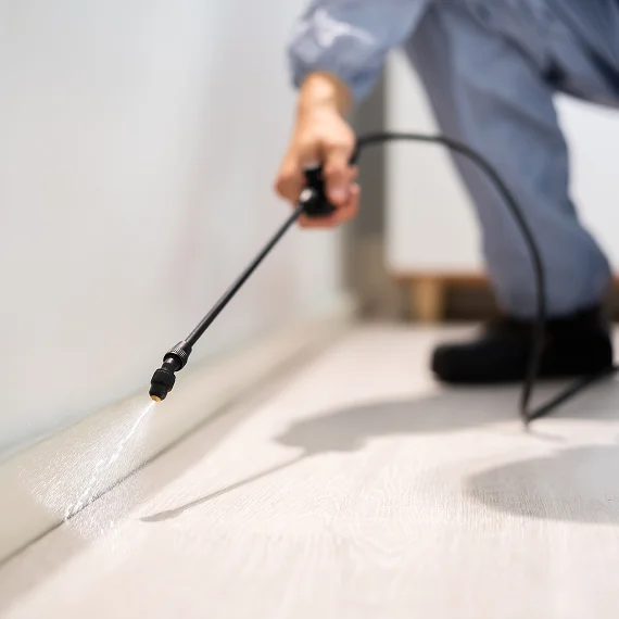 General Pest Control Services Eagle County