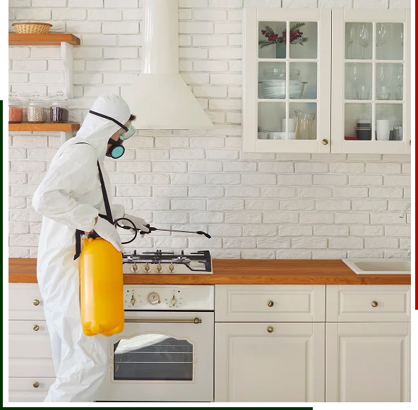 Residential Pest Control Services for Everyday Living