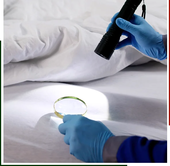 Comprehensive Visual Pest Inspections