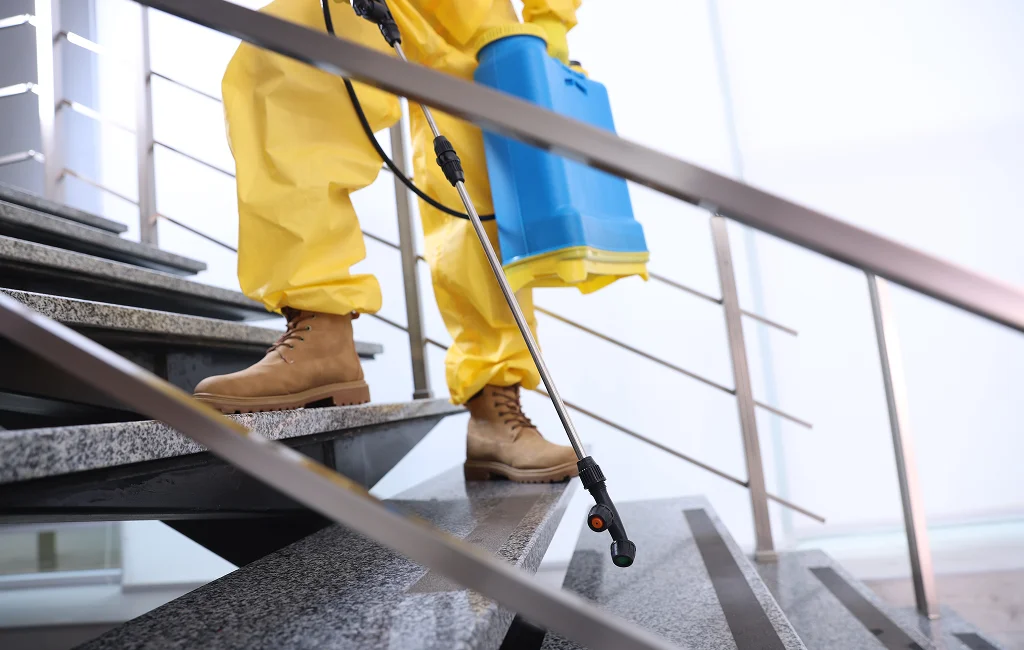 Pest Inspection Services Eagle County