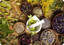 Herbal Remedies