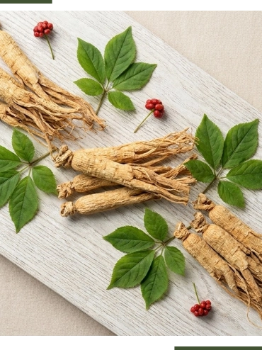 A lifestyle coaching session highlighting natural health guidance for men
