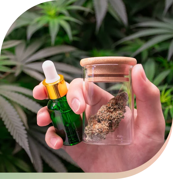 Initial CBD & Cannabinoid Wellness Assessment