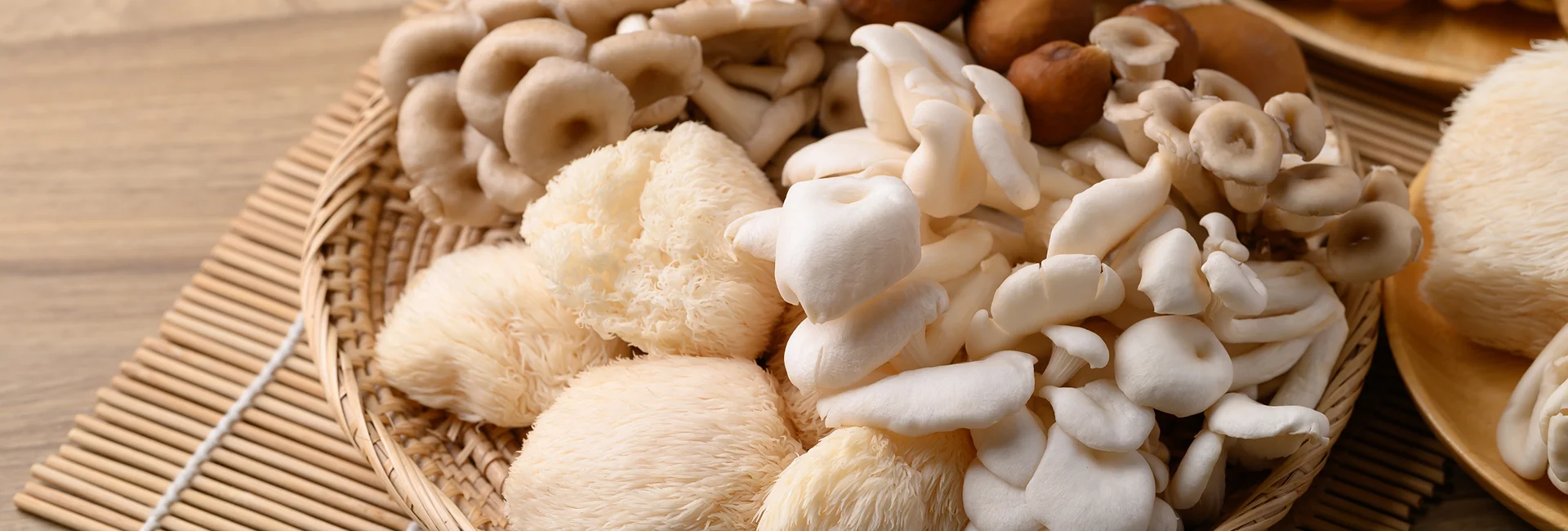 Wellness Center Functional Mushroom Wellness Products