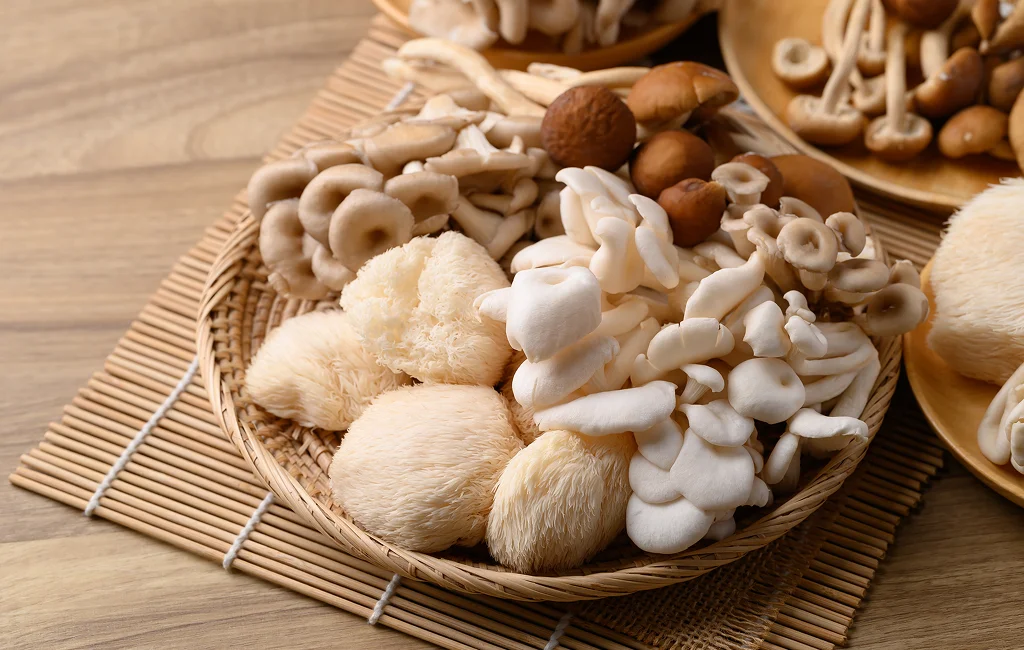 Wellness Center Functional Mushroom Wellness Products