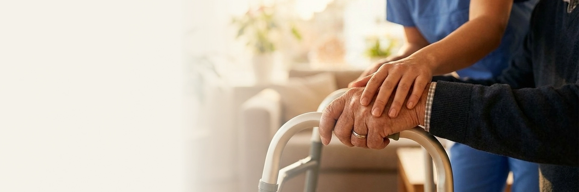 Disability Support Services in Tarpon Springs