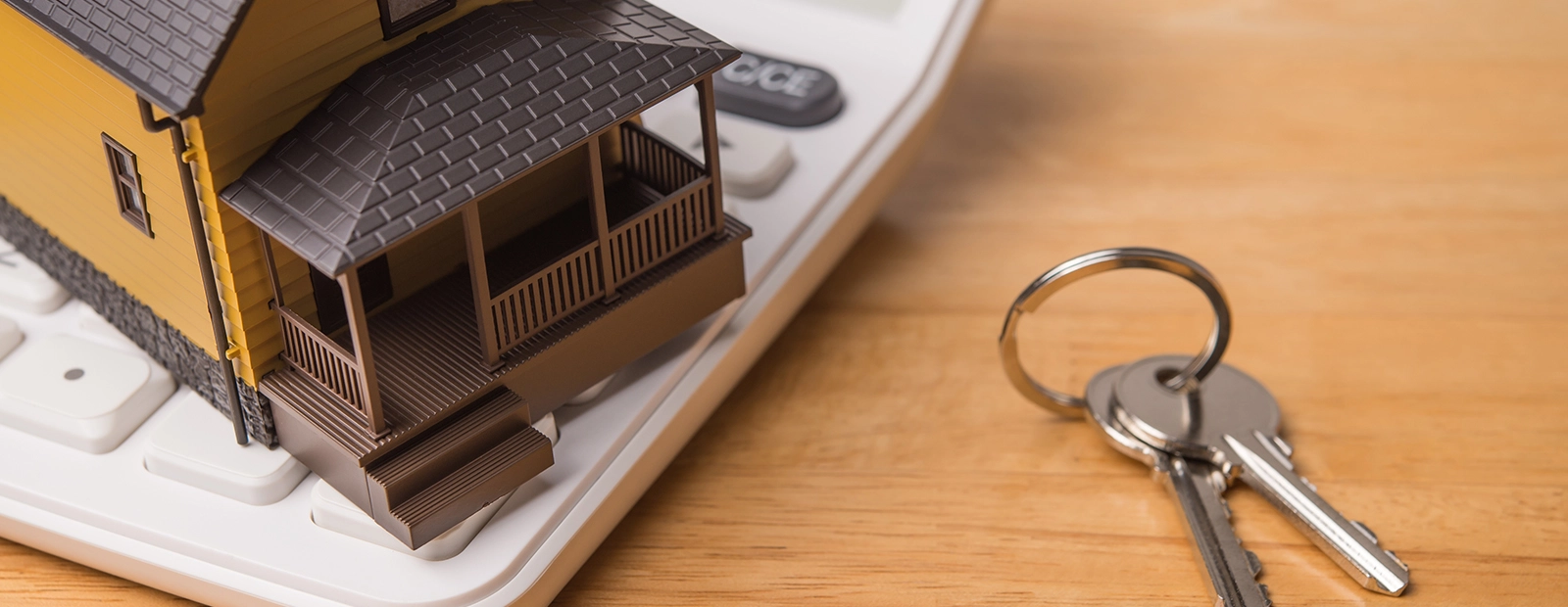 Reverse Mortgages