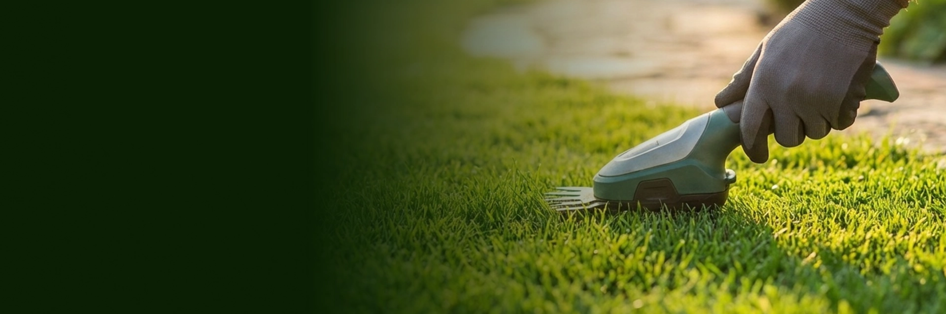 Exterior Care Services Mount Vernon